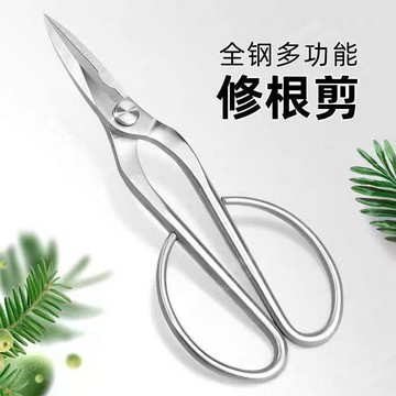 免運費⭐園藝修根剪刀蘭花分苗剪不鏽鋼盆景修枝葉芽剪枝多肉盆栽剪子強力