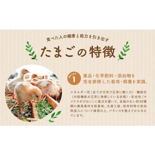 ふるさと納税 神奈川県 川崎市 単なる平飼いではない究極の卵『わたしたちのぷらいどたまご』6パック（60個）セット