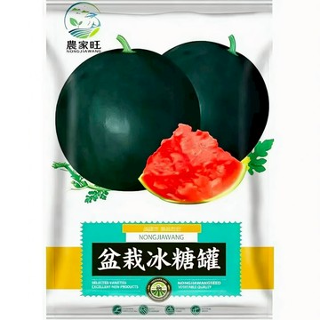 【原廠包裝】冰糖蜜罐西瓜種子（Potted Rock Candy Honey Jar）25粒裝陽台盆栽可種 皮薄超甜多汁