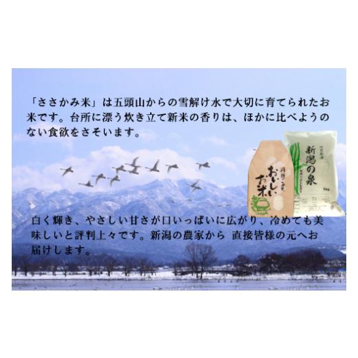 ふるさと納税 新潟県 阿賀野市  旧笹神村産 コシヒカリ 2kg×5回 合計10kg 白米 上泉 農家直送 コメドック 金賞 1Q12025