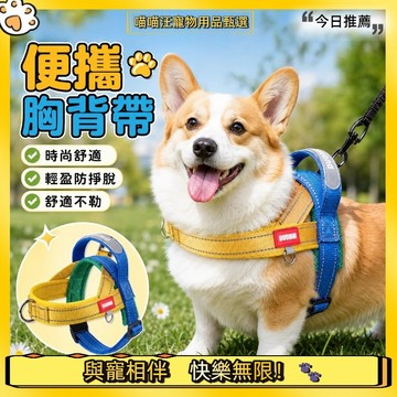 【喵喵汪甄選】🐱狗狗胸背帶 防爆衝胸背帶 防掙脫胸背帶 寵物胸背帶 舒適透氣 加寬織帶 可調節 自由無束縛 超透氣款