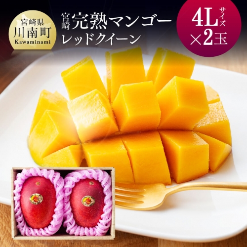  宮崎県産完熟マンゴー 「 レッドクイーン 」 4L×2玉 