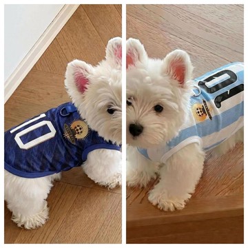 狗狗衣服夏2026新款寵物衣服足球世界盃主題衣服中小型犬寵物背心生日禮物 禮物