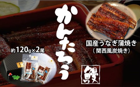 国産うなぎ蒲焼き（ 関西風炭焼き）約120g×2尾