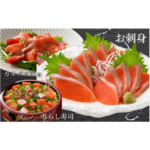 ふるさと納税 福井県 大野市 ふくいサーモン 350g (刺身用)　真空冷凍　350g × 1パック