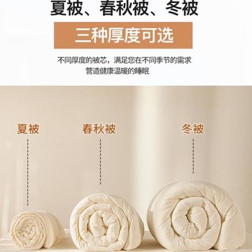 新款被子被芯雙人單人冬被保暖加厚棉被褥春秋薄款被子四季通用