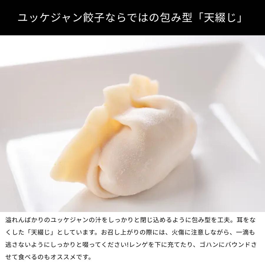 餃子取り寄せ 冷凍食品