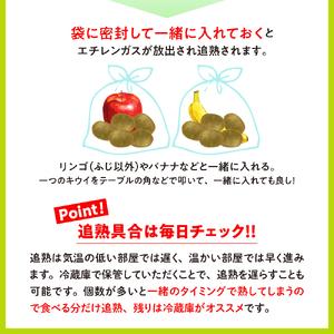 ふるさと納税 希少品種「 レッドキウイ 」国産 約1kg 広島県呉市