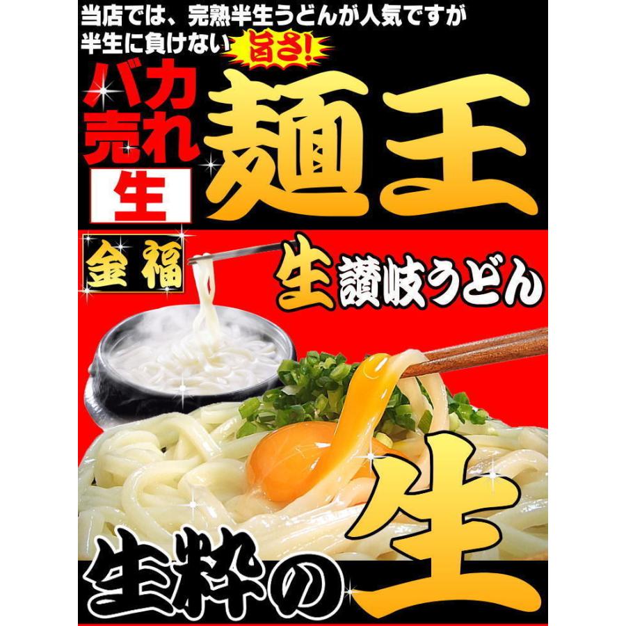 送料無料 ピリ辛・醤油・つゆ付き 生 讃岐うどん 750g ネコポス お取り寄せ 激安  得トクセール 特産品 ぽっきり