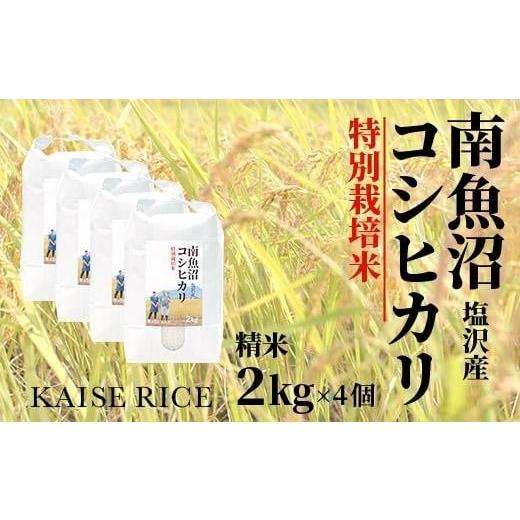 ふるさと納税 新潟県 南魚沼市 南魚沼産塩沢コシヒカリ（特別栽培米８割減農薬）精米２ｋｇ×４個