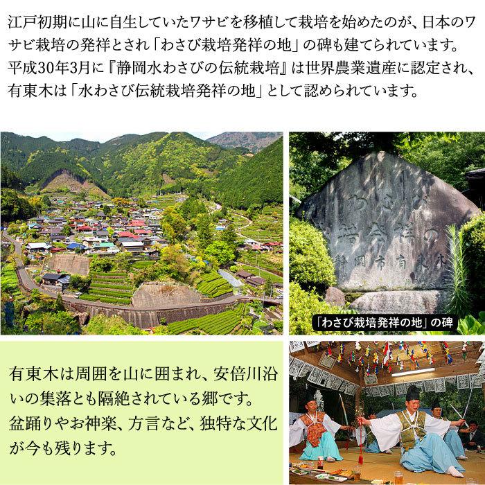 わさび栽培発祥の地「有東木」の本わさび　特大サイズ1本（1本100g以上） ワサビ 山葵 静岡 有東木 送料無料