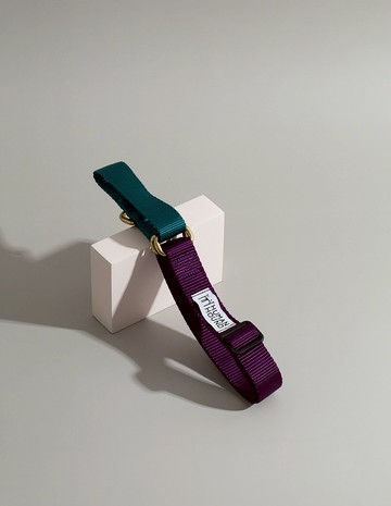 馬丁格爾領子 - 綠松石 x 紫色