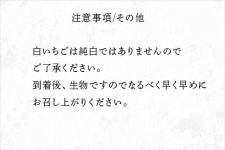 『予約受付』白い宝石 白いちご 450g 贈答用 いちご 苺