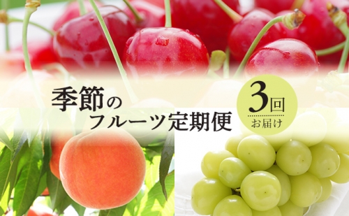 先行予約 季節の フルーツ 定期便 3か月連続お届け2024年 7～9月 果物 デザート おやつ さくらんぼ チェリー 桃 もも シャインマスカット ぶどう 葡萄 シャイン マスカット お楽しみ 信州