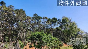 新北市三芝區芝蘭別墅旁完整大塊農牧用地｜新北市三芝區芝蘭段