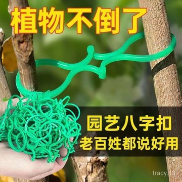 🔥台灣出貨🔥 園藝8字扣 爬藤西紅柿捆綁紮帶蝴蝶扣 葫蘆圈園藝配件 園藝植物標籤 多功能園藝八
