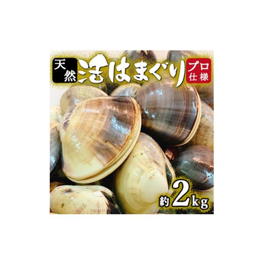 ふるさと納税 千葉県 いすみ市 ＜10月上旬より順次発送＞プロも認める活はまぐり 国産 天然  約2.0kg 千葉県産 九十九里産