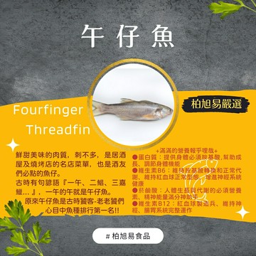 滿一千五就送雞塊兩包！冷凍生食·烤肉食材｜真空包裝｜午仔魚｜270g±10%｜台灣