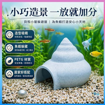 放風水族【貝殼小屋躲避屋】魚缸造景 陶瓷躲避屋 魚蝦躲藏屋 蝦屋 水族箱裝飾 造景擺件 水草缸佈景 小型魚躲避 水族造景