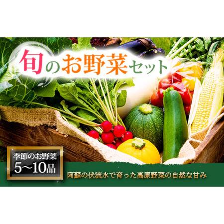 ふるさと納税 ＜畑から直送＞季節のお野菜セット 熊本県阿蘇市