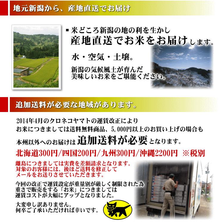 新米入荷 コシヒカリ 30kg 新潟産 新潟米  令和5年度産 産地直送 特産品 名物商品 5kg×6袋