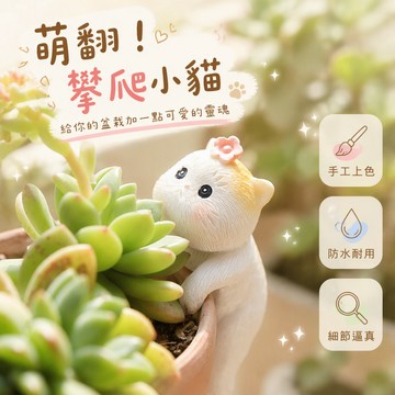 🔥桃園出貨🔥 樹脂貓咪魚缸擺件 卡通微景觀裝飾 爬缸小貓飾品 園藝盆栽工藝品 迷你水族箱掛件 可愛寵物造景