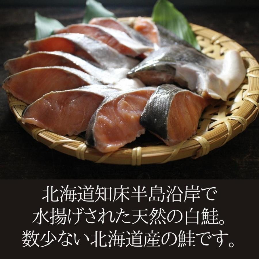 北海道知床産　天然白鮭片身約1kg 切身 甘口 通販 人気 送料無料 サケ さけ