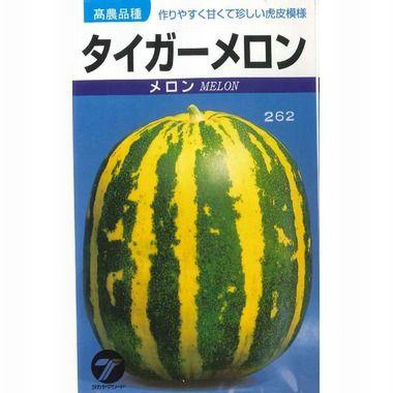メロン タイガーメロン 1.5ml タカヤマシード 通販 LINEポイント最大0.5%GET LINEショッピング