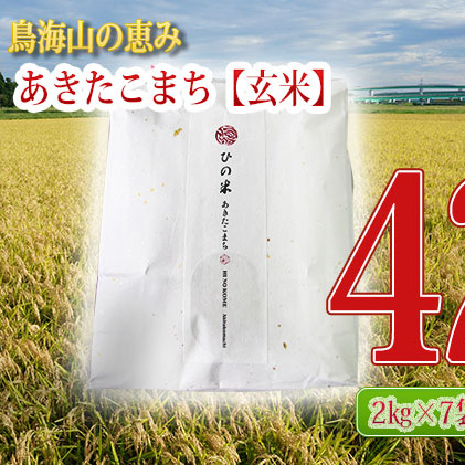 《定期便》14kg×3ヶ月 秋田県産 あきたこまち 玄米 2kg×7袋 神宿る里の米「ひの米」（お米 小分け）