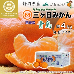 [予約 2024年2月5日～順次発送] 三ケ日みかん 青島 約4kg M-Lサイズ 静岡県産 産地箱