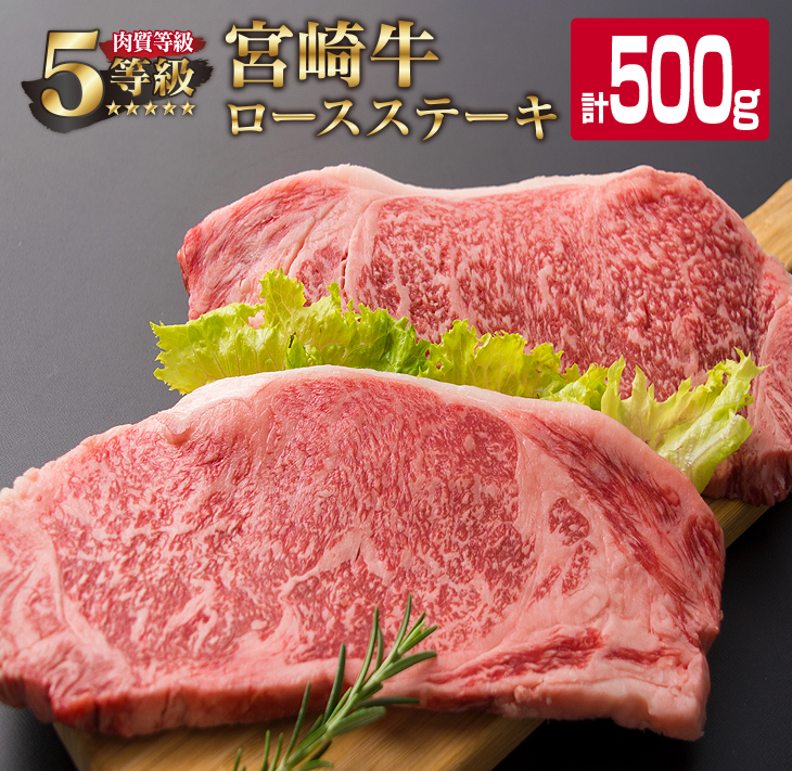 D22-191 ≪数量限定≫最高ランク5等級宮崎牛ロースステーキ(計500g)　肉　牛　牛肉　国産