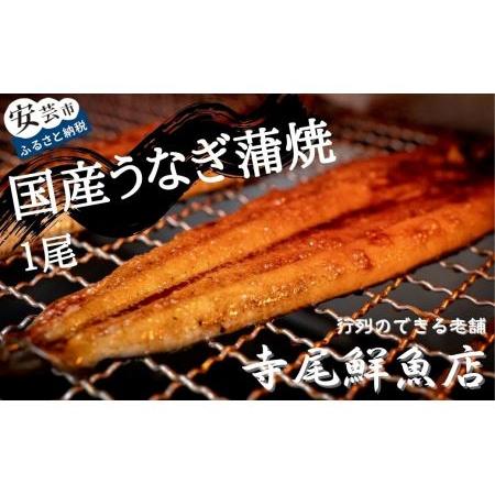 ふるさと納税 うなぎ蒲焼 国産 1尾 冷凍 タレ付き 高知県安芸市