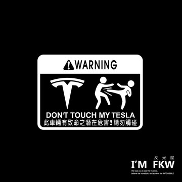 反光屋FKW MODELS MODEL3 MODELX MODELY 特斯拉 TESLA 汽車貼紙 防水車貼 反光貼紙