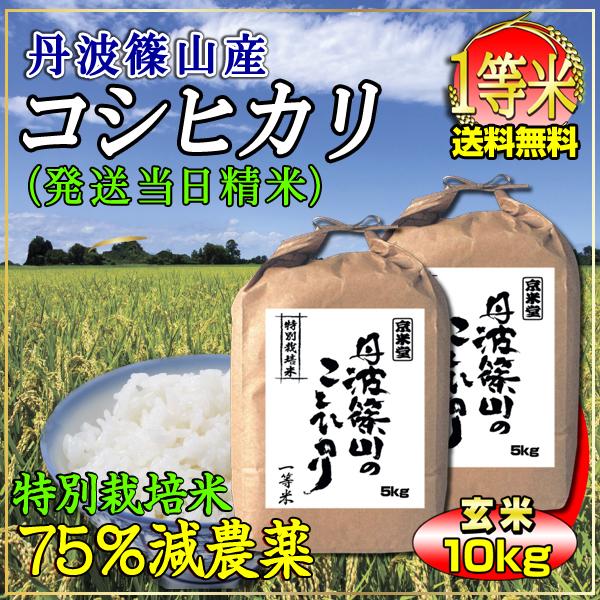 新米 お米 玄米 10kg コシヒカリ 5kg×2 特別栽培米 7.5割農薬減 兵庫県 丹波篠山産 特A 一等米 送料無料 令和5年産