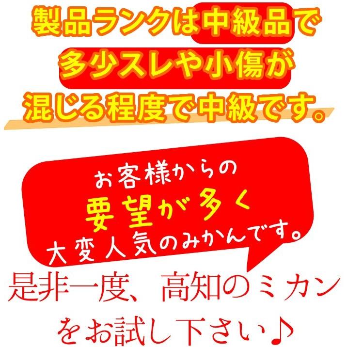 山北みかんMSサイズ限定　10kg　みかん蜜柑　中級品　高知産