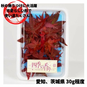 モミジの葉（赤） PC売り 約30ｇ 愛知 茨城 国産 あしらい 飾り付け 業務用 和食 会食 おせち料理