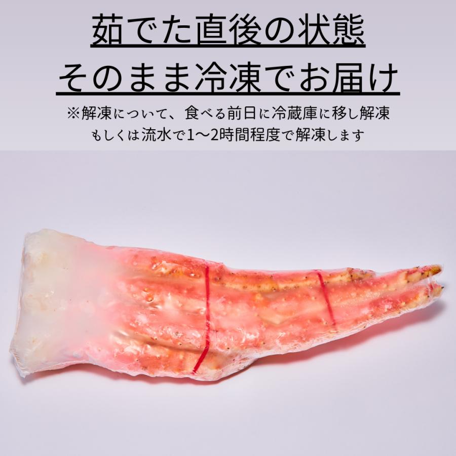 タラバ蟹 かに カニ 蟹 タラバガニ 足 特大 5L 1kg×2肩（解凍後1.6kg前後）たらばがに たらば蟹 脚