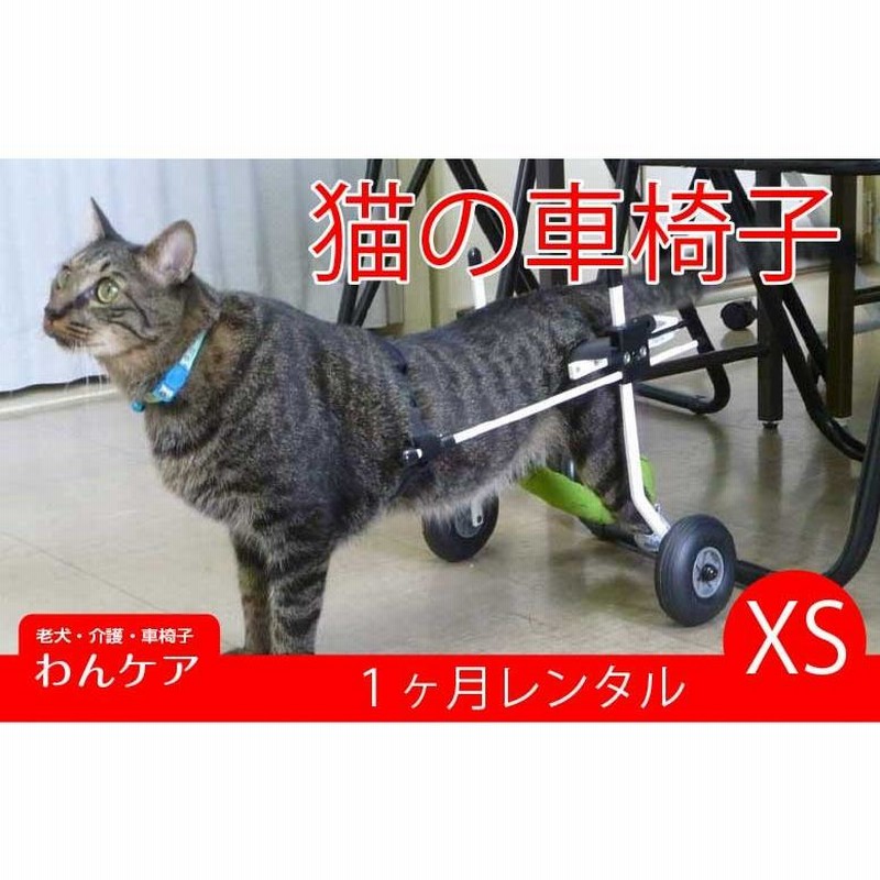 1ヶ月レンタル K9カート犬用車椅子後脚サポート XS・猫(5kg未満) 犬 車椅子 車イス 歩行器 ミニチュアダックス ネコ シーズー 超小型犬 |  LINEブランドカタログ