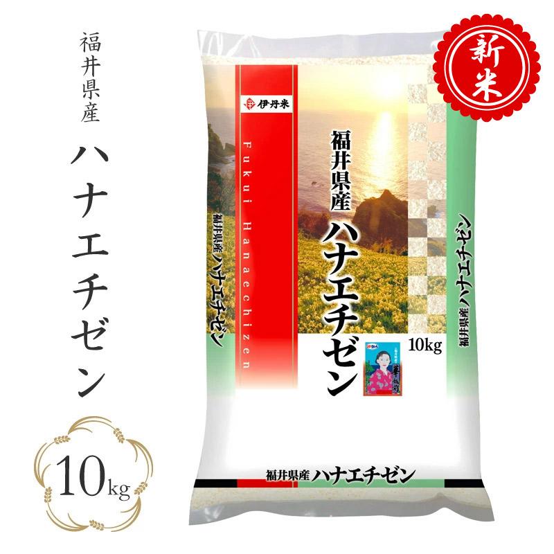 新米 令和4年産 福井県産 ハナエチゼン 5kg×2袋 10kg 米 お米 白米 おこめ 華越前 精米 単一原料米 ブランド米 10キロ 送料無料 国内産 国産