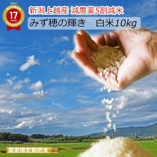 新米 米 10kg 送料無料 新潟産 1等米 みずほの輝き白米 農薬5割減 産年：令和5年 生産者：辻勉氏　お米の粒がふっくらと大きいため食感◎