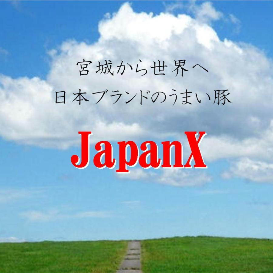 JAPANX 厚切り ロース とんかつ 豚肉 1kg(200g×5枚) 宮城 国産 ジャパンエックス ギフト お歳暮 お中元　かつ丼 トンカツ