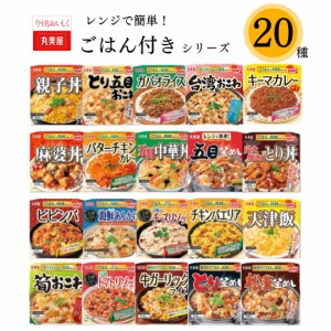 レトルト食品 常温保存 詰め合わせ 送料無料 レトルトご飯 レトルト 惣菜 和食 洋食 おかず 業務用 インスタント食品 ビビンバ 福袋セッ