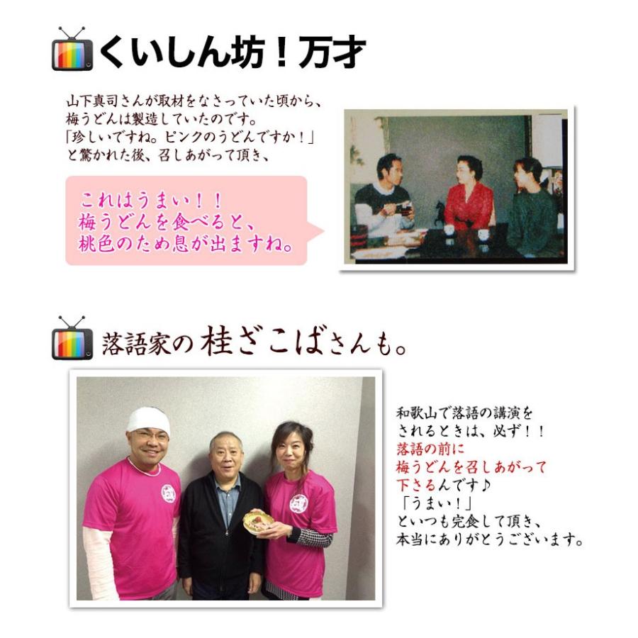 紀州南高梅肉を独自の製法で麺に練り込みました！大盛 丸ざる冷し梅うどん（麺、めんつゆ、梅干し、丸ざる付（麺150g）　(fy2)