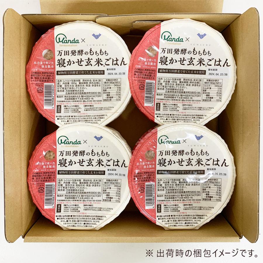 万田発酵のもちもち寝かせ玄米ごはん 48食 レトルト ごはん 保存食 ごはんパック 玄米