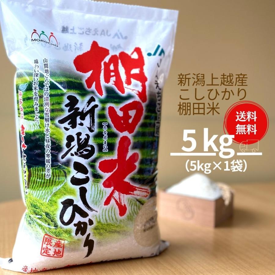 新米 米 お米 5kg 新潟 上越産 こしひかり コシヒカリ 棚田米 本州送料無料 令和5年産