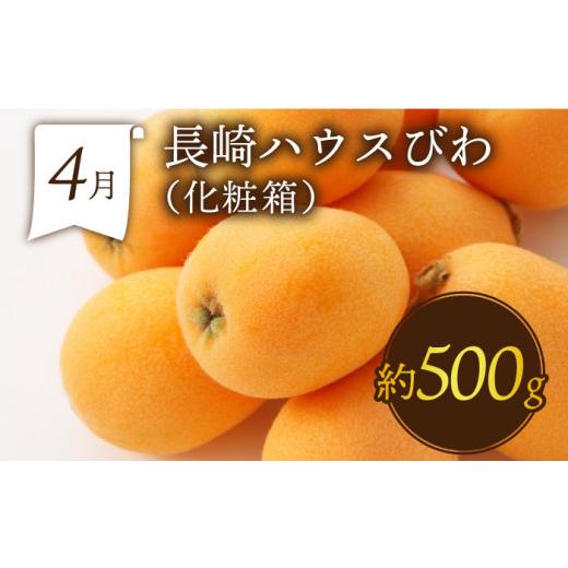 ふるさと納税 長崎県 南島原市 フルーツ定期便 旬のフルーツをセット／ ハウスびわ メロン ぶどう 巨峰 みかん など ／ 南島原市 …