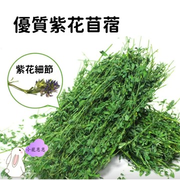 【隔日達】優質烘乾紫花苜蓿草兔子龍貓糧食荷蘭豬兔苜蓿草食用烘乾