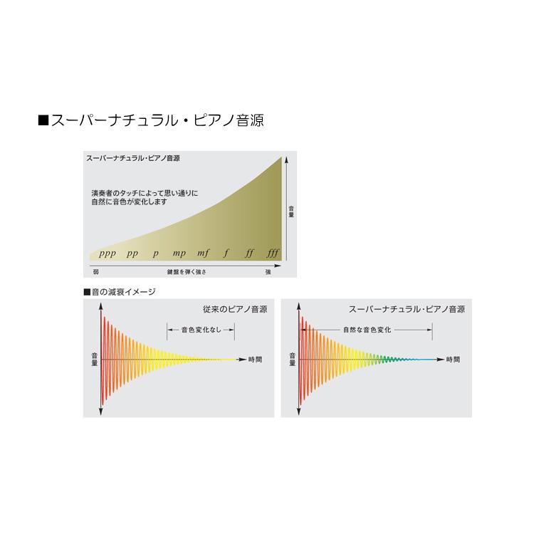 スタンド固定ベルト付■ローランド 電子ピアノ 88鍵盤 FP-10 Roland「ヘッドフォン＆ペダル＋テーブル型スタンド＆椅子」