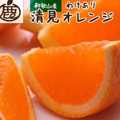 ふるさと納税 広川町 家庭用 清見オレンジ5kg 150g(傷み補償分)