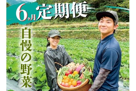 新鮮野菜BOX定期便・偶数月にお届け(6カ月便）8～12種